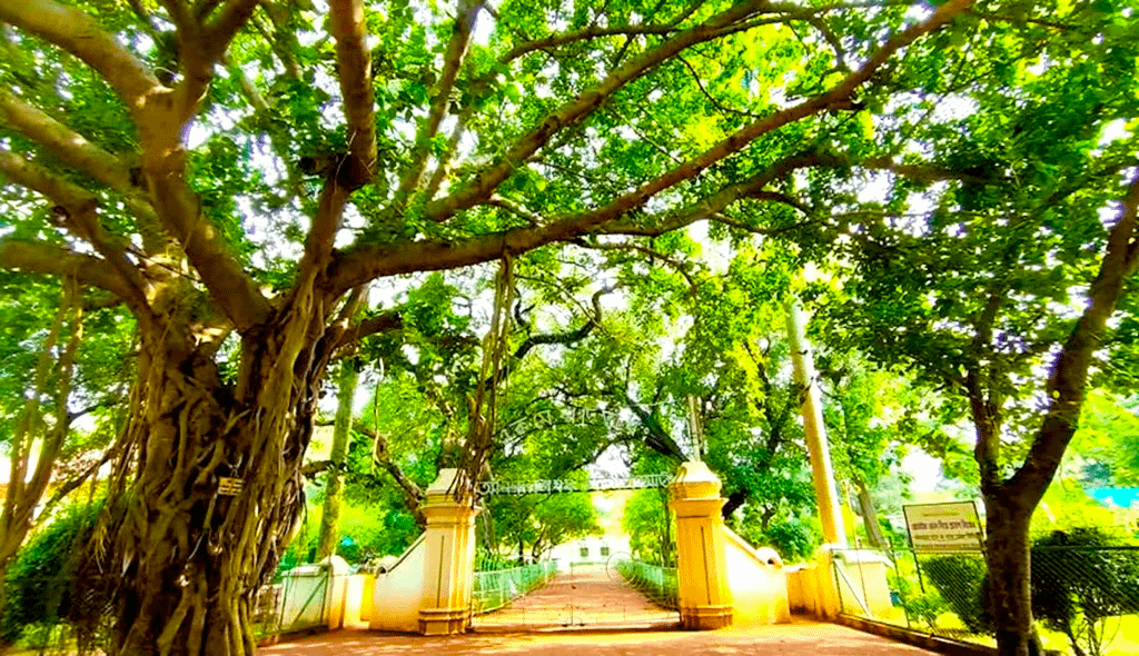 Visva-Bharati University Santiniketan