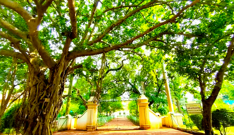 Visva-Bharati University Santiniketan: A Complete Visitor’s Guide 2 Visva-Bharati University Santiniketan
